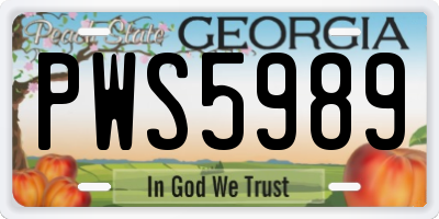 GA license plate PWS5989