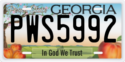 GA license plate PWS5992