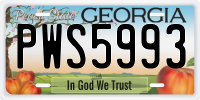 GA license plate PWS5993