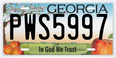 GA license plate PWS5997