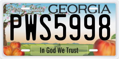 GA license plate PWS5998