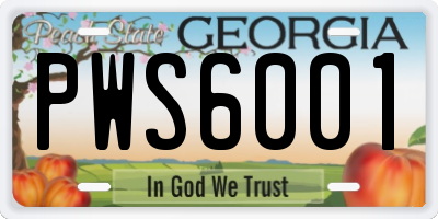 GA license plate PWS6001
