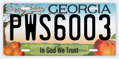 GA license plate PWS6003