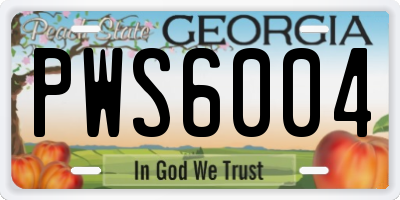 GA license plate PWS6004