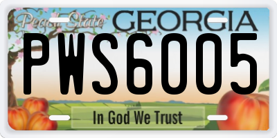GA license plate PWS6005