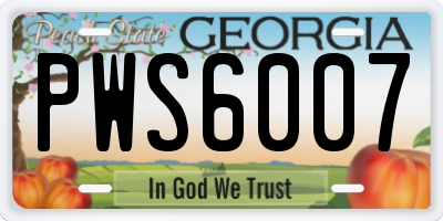 GA license plate PWS6007