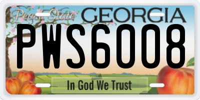 GA license plate PWS6008