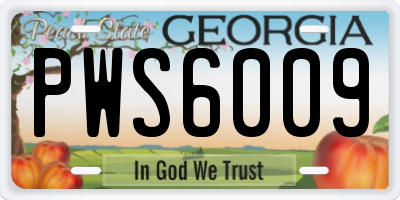 GA license plate PWS6009