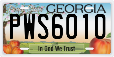 GA license plate PWS6010