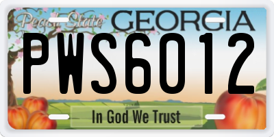 GA license plate PWS6012