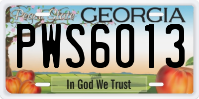GA license plate PWS6013
