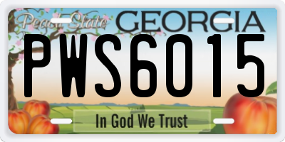 GA license plate PWS6015