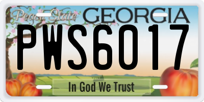 GA license plate PWS6017