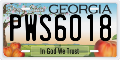 GA license plate PWS6018