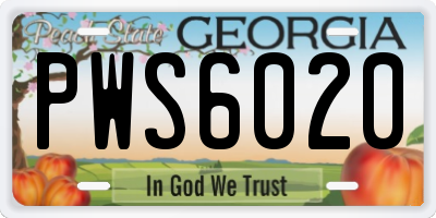 GA license plate PWS6020