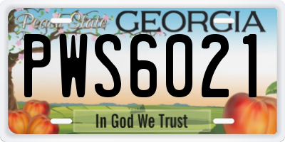 GA license plate PWS6021