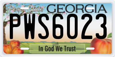 GA license plate PWS6023