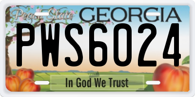 GA license plate PWS6024