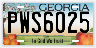GA license plate PWS6025