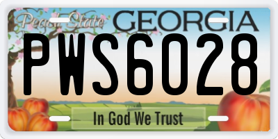 GA license plate PWS6028