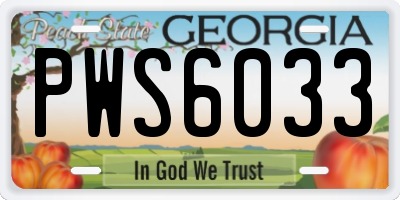GA license plate PWS6033