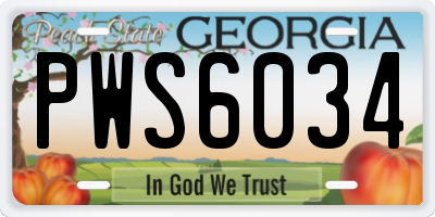 GA license plate PWS6034