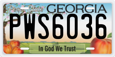GA license plate PWS6036