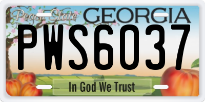 GA license plate PWS6037