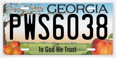 GA license plate PWS6038