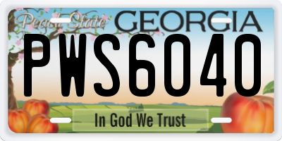 GA license plate PWS6040