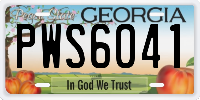 GA license plate PWS6041