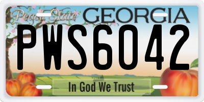 GA license plate PWS6042