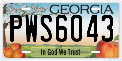 GA license plate PWS6043