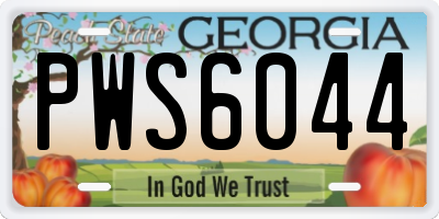 GA license plate PWS6044