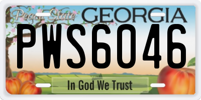 GA license plate PWS6046
