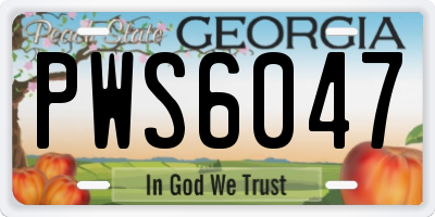 GA license plate PWS6047