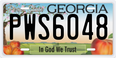 GA license plate PWS6048