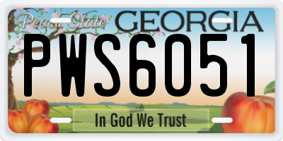 GA license plate PWS6051
