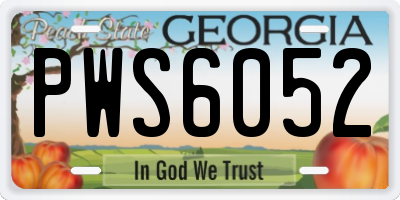 GA license plate PWS6052