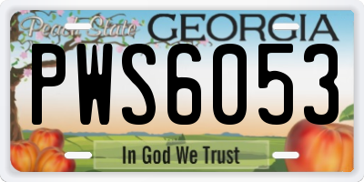 GA license plate PWS6053