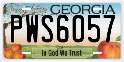 GA license plate PWS6057
