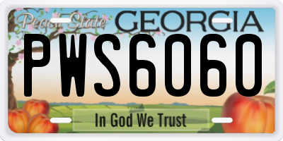 GA license plate PWS6060