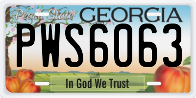 GA license plate PWS6063
