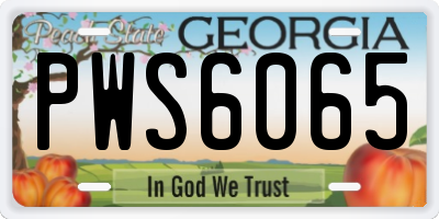 GA license plate PWS6065