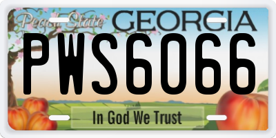 GA license plate PWS6066