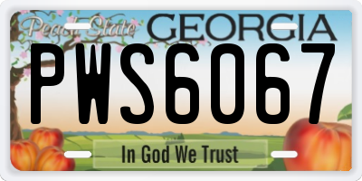 GA license plate PWS6067