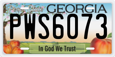 GA license plate PWS6073