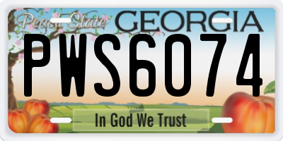 GA license plate PWS6074