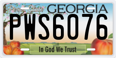 GA license plate PWS6076