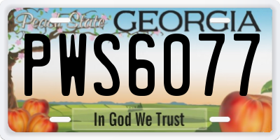 GA license plate PWS6077
